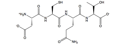 sh-Polypeptide-1